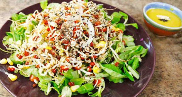 10 Receitas De Salada De Broto De Feijão - MundoBoaForma.com.br