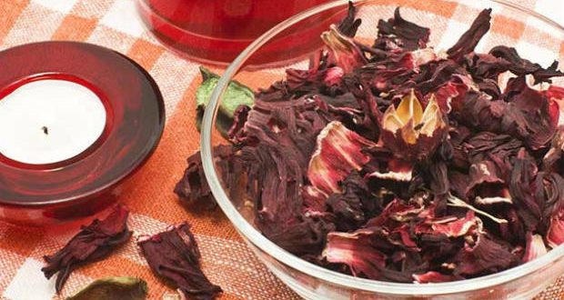 Como Fazer Chá de Hibisco Cavalinha Receita Benefícios e Dicas