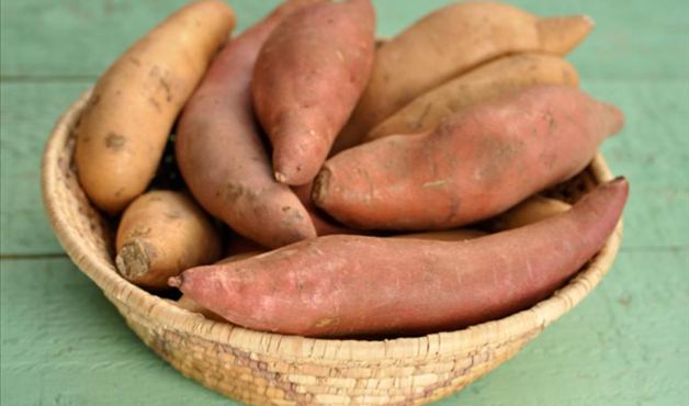 Benefícios Da Batata Yacon Para Que Serve E Dicas