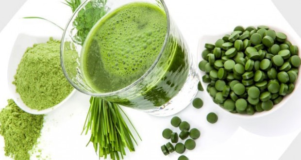 11 Benefícios Da Chlorella Para Que Serve O Que é E Dicas Br 0545