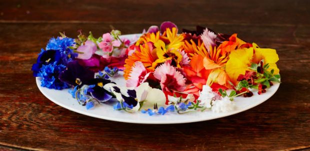 Flores Comestíveis Tipos Como Escolher Como Usar e Receitas MundoBoaForma com br