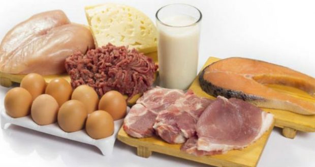 Quais Alimentos Têm Proteínas Br 0752