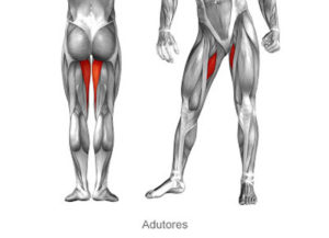 Distensão na coxa - O que é, como tratar e dicas! - MundoBoaForma