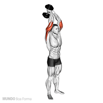 10 ideias de Tricipes  treino de tríceps, exercícios de musculação, tríceps