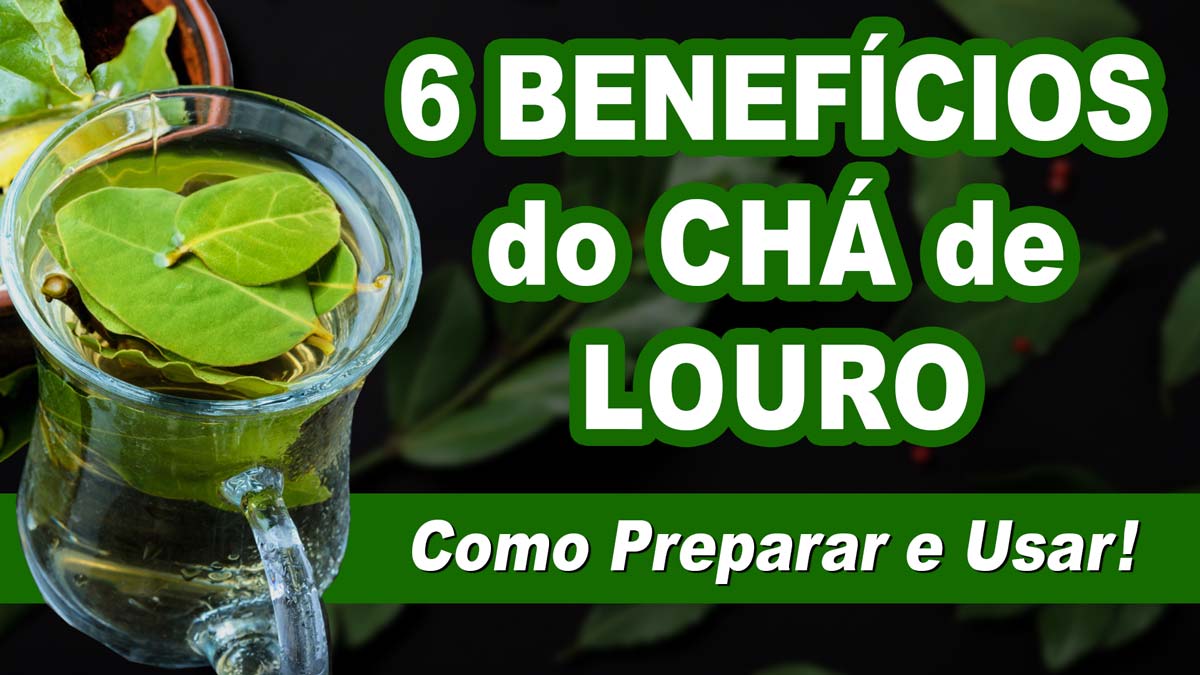 V DEO 6 benef cios do ch de louro para sa de e boa forma Como tomar e dicas MundoBoaForma