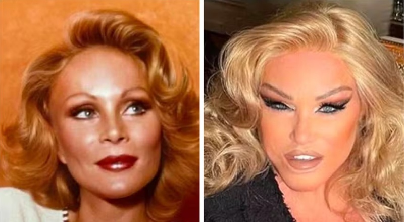 Jocelyn Wildenstein